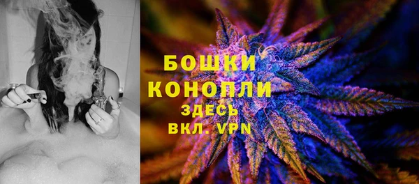 гашик Арсеньев