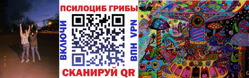 Купить закладки  Нелидово  Псилоцибиновые грибы MAGIC MUSHROOMS 